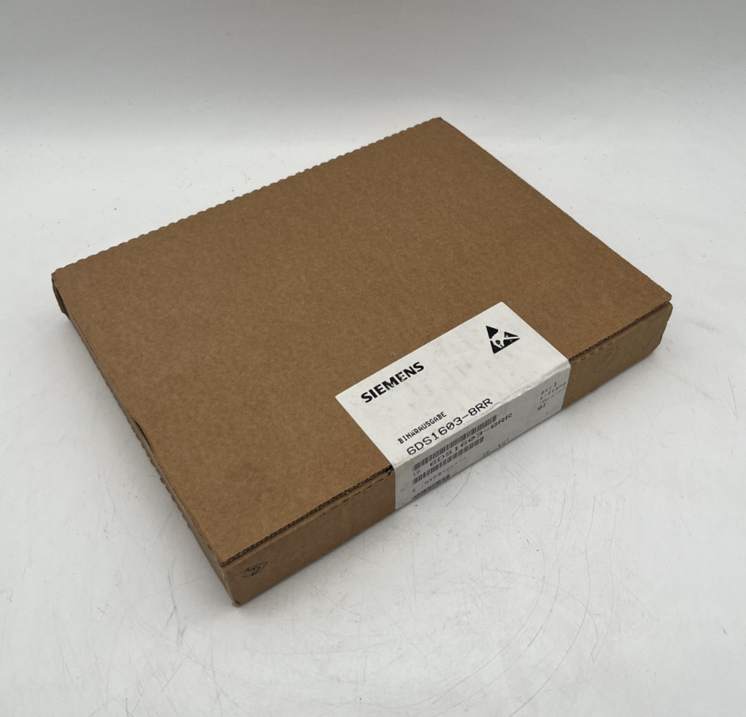 Siemens Teleperm 6DS1603-8RR Binärausgabe E-Stand 01 | New